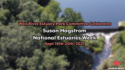 Thumbnail image for Susan Hagstrom | Weir River Estuary Park Committee Artist Highlight