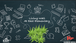 Thumbnail image for Living Wall at East Elementary School | Get Schooled 2.0